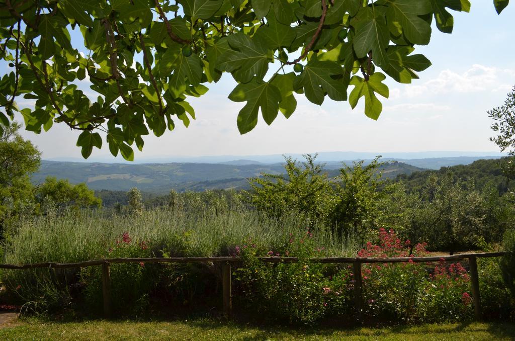 גרבה אין קיאנטי Casa Ercole Farm Stay מראה חיצוני תמונה